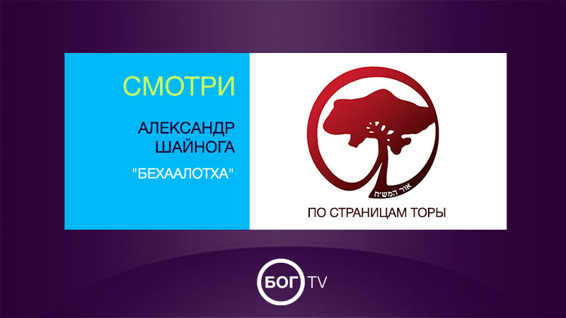 Александр Шайнога 