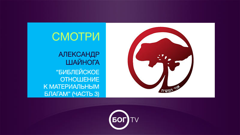 Александр Шайнога 