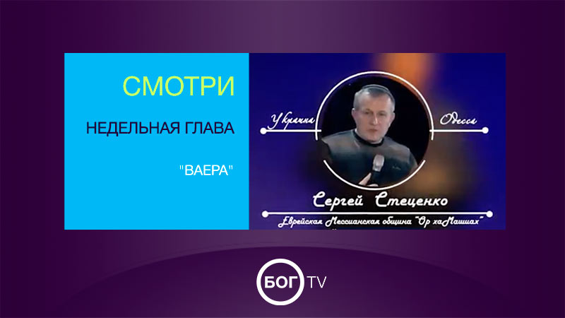 Сергей Стеценко 