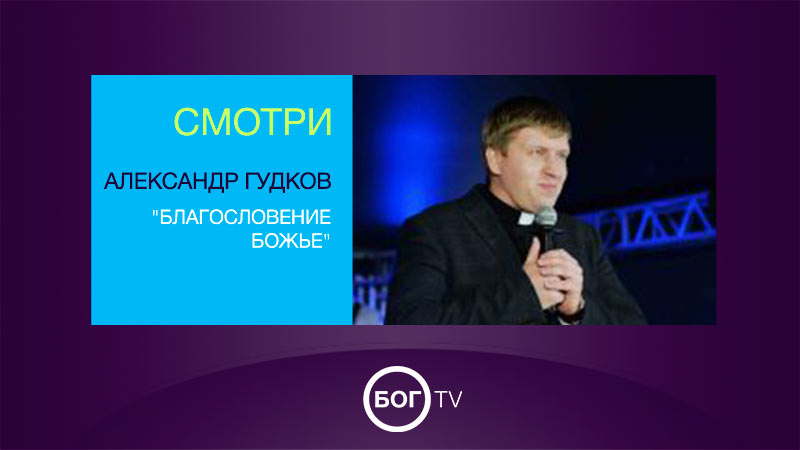 Александр Гудков 